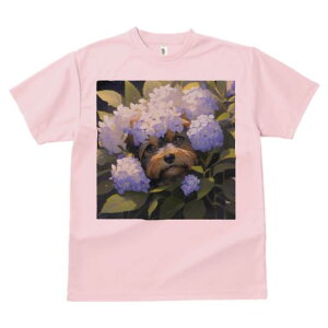 TVc Y LbY t@  t  vg JWA 킢 lԗp tBbglX _X  [NV[eA AWTC A