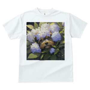 TVc fB[X t@  t  vg JWA 킢 lԗp tBbglX _X  [NV[eA AWTC A