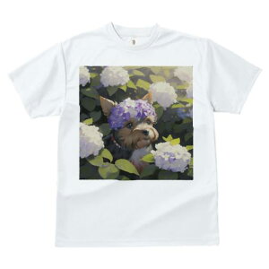 TVc Y LbY t@  t  vg JWA 킢 lԗp tBbglX _X  [NV[eA AWTC