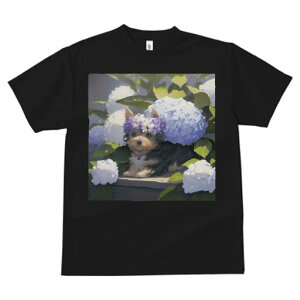 TVc fB[X t@  t  vg JWA 킢 lԗp tBbglX _X AWTC [NV[eA  Ԋ