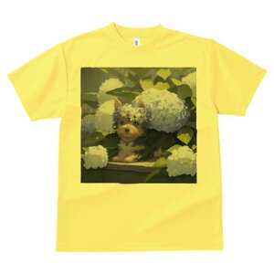 TVc Y LbY t@  t  vg JWA 킢 lԗp tBbglX _X AWTC [NV[eA  Ԋ