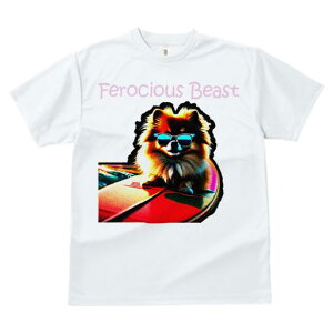 TVc fB[X t@  t  vg JWA 킢 lԗp tBbglX _X TOX |jA T[tB