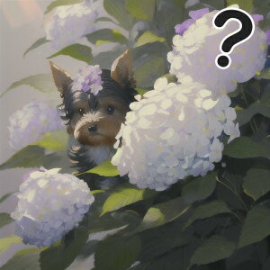 AWTC [NV[eA NbVJo[ 45×45cm Aj}   NbV{̕t ` t@