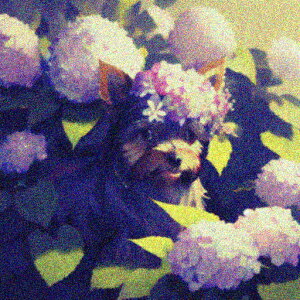 AWTC [NV[eA NbVJo[ 45×45cm Aj}   NbV{̕t ` t@