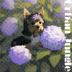  [NV[eA AWTC NbVJo[ 45×45cm Aj}   NbV{̕t ` t@