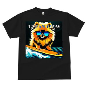 TVc fB[X t@  t  vg JWA 킢 lԗp tBbglX _X TOX |jA T[tB