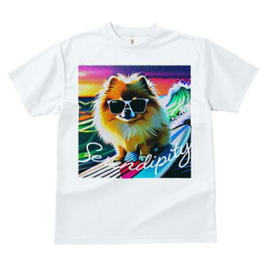 TVc fB[X t@  t  vg JWA 킢 lԗp tBbglX _X T[tB |jA g TOX