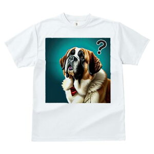 TVc fB[X t@  t  vg JWA 킢 lԗp tBbglX _X ^╄ Zgo[i[h ԂlN^C