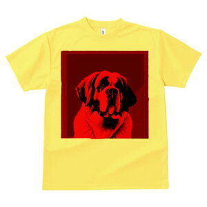 TVc Y LbY t@  t  vg JWA 킢 lԗp tBbglX _X lN^C Zgo[i[h