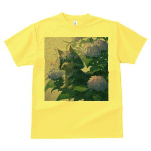 TVc Y LbY t@  t  vg JWA 킢 lԗp tBbglX _X AWTC [NV[eA 