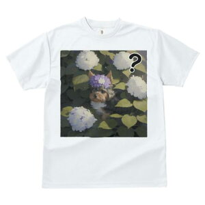 TVc fB[X t@  t  vg JWA 킢 lԗp tBbglX _X  [NV[eA AWTC Ԋ