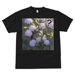 TVc fB[X t@  t  vg JWA 킢 lԗp tBbglX _X AWTC [NV[eA 