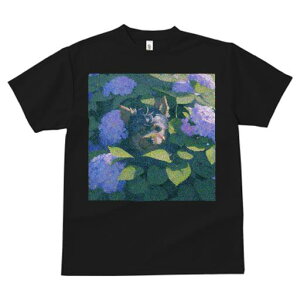 TVc fB[X t@  t  vg JWA 킢 lԗp tBbglX _X AWTC [NV[eA t