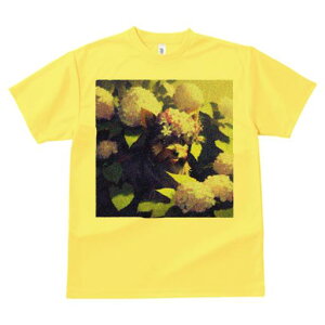 TVc Y LbY t@  t  vg JWA 킢 lԗp tBbglX _X AWTC [NV[eA