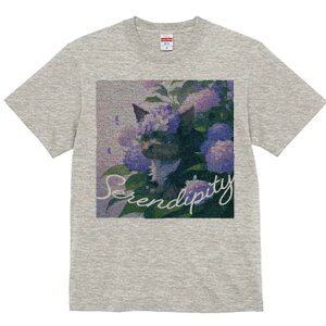 TVc Y LbY t@  t  vg JWA 킢 lԗp tBbglX _X AWTC [NV[eA 