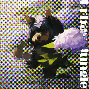  [NV[eA ԑ NbVJo[ 45×45cm Aj}   NbV{̕t ` t@