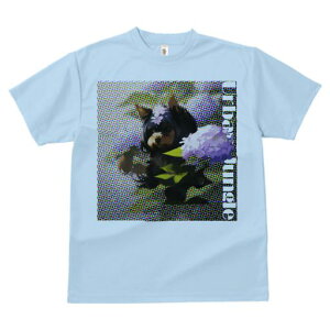 TVc Y LbY t@  t  vg JWA 킢 lԗp tBbglX _X  [NV[eA ԑ