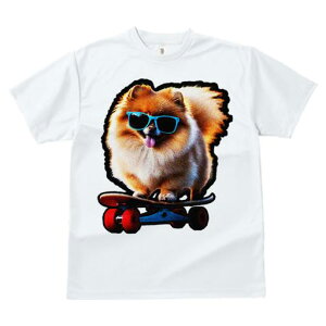 TVc fB[X t@  t  vg JWA 킢 lԗp tBbglX _X XP[g{[h |jA TOX