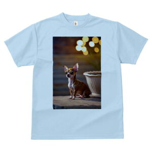 TVc Y LbY t@  t  vg JWA 킢 lԗp tBbglX _X wi ` Ɩ Aؔ