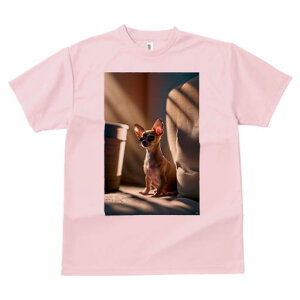 TVc Y LbY t@  t  vg JWA 킢 lԗp tBbglX _X \t@ ` Aؔ 