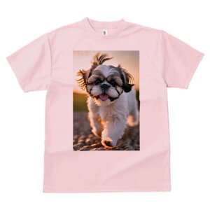 TVc Y LbY t@  t  vg JWA 킢 lԗp tBbglX _X  V[Y[ ybg  