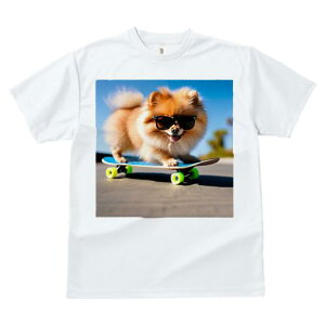 TVc fB[X t@  t  vg JWA 킢 lԗp tBbglX _X XP[g{[h |jA TOX