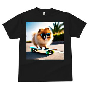 TVc fB[X t@  t  vg JWA 킢 lԗp tBbglX _X XP[g{[h |jA TOX