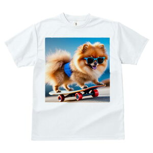 TVc Y LbY t@  t  vg JWA 킢 lԗp tBbglX _X TOX |jA XP[g{[h