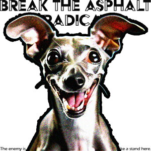 �C�^���A���O���[�n�E���h �N�b�V�����J�o�[ 45×45cm �A�j�}���� ������� ���� �N�b�V�����{�̕t�� �����` ���t�@��