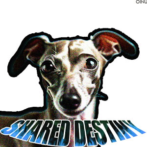 �C�^���A���O���[�n�E���h �N�b�V�����J�o�[ 45×45cm �A�j�}���� ������� ���� �N�b�V�����{�̕t�� �����` ���t�@��