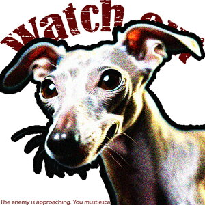 �C�^���A���O���[�n�E���h �N�b�V�����J�o�[ 45×45cm �A�j�}���� ������� ���� �N�b�V�����{�̕t�� �����` ���t�@��