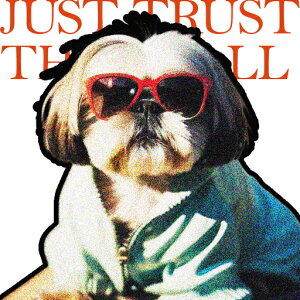 TOX V[Y[  NbVJo[ 45×45cm Aj}   NbV{̕t ` t@