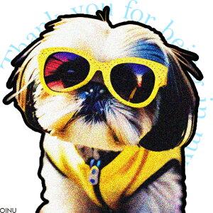 TOX V[Y[ n[lX NbVJo[ 45×45cm Aj}   NbV{̕t ` t@