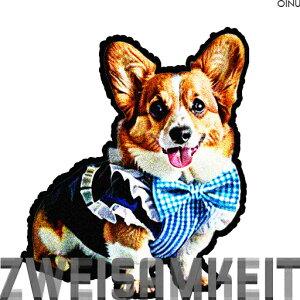 lN^C R[M[  NbVJo[ 45×45cm Aj}   NbV{̕t ` t@