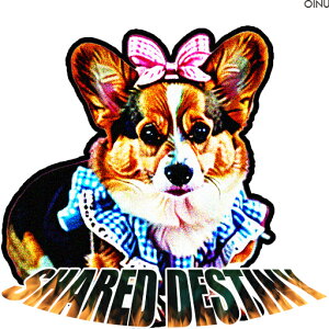 { R[M[  NbVJo[ 45×45cm Aj}   NbV{̕t ` t@