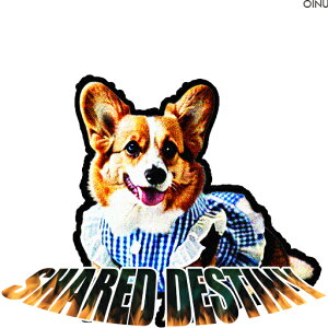  R[M[ NbVJo[ 45×45cm Aj}   NbV{̕t ` t@