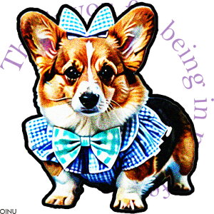 { R[M[  NbVJo[ 45×45cm Aj}   NbV{̕t ` t@