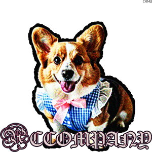  R[M[ `FbN { NbVJo[ 45×45cm Aj}   NbV{̕t ` t@