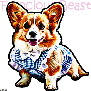  R[M[ `FbN NbVJo[ 45×45cm Aj}   NbV{̕t ` t@