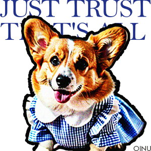  R[M[ NbVJo[ 45×45cm Aj}   NbV{̕t ` t@