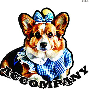 { R[M[  NbVJo[ 45×45cm Aj}   NbV{̕t ` t@