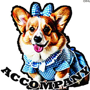 MK`FbN R[M[ { NbVJo[ 45×45cm Aj}   NbV{̕t ` t@