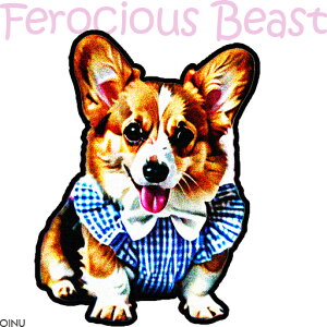  R[M[ Vc 킢 NbVJo[ 45×45cm Aj}   NbV{̕t ` t@