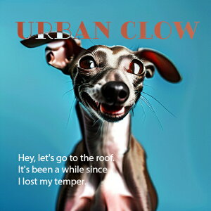  C^AO[nEh 킢 |bv NbVJo[ 45×45cm Aj}   NbV{̕t ` t@