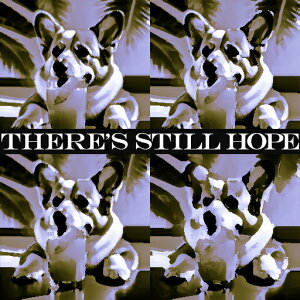 ݕ R[M[ V̖ NbVJo[ 45×45cm Aj}   NbV{̕t ` t@