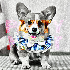  R[M[ { NbVJo[ 45×45cm Aj}   NbV{̕t ` t@