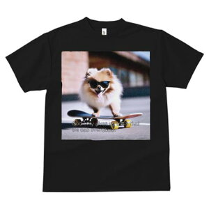 TVc fB[X t@  t  vg JWA 킢 lԗp tBbglX _X TOX |jA XP[g{[h