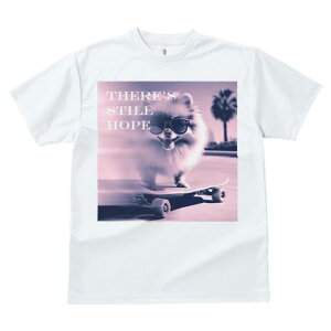 TVc fB[X t@  t  vg JWA 킢 lԗp tBbglX _X XP[g{[h |jA TOX Xg[g