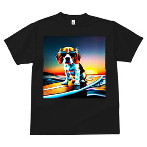 TVc fB[X t@  t  vg JWA 킢 lԗp tBbglX _X T[tB r[O C [ TOX