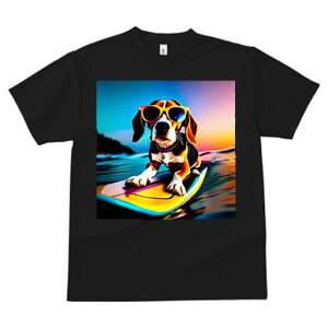 TVc fB[X t@  t  vg JWA 킢 lԗp tBbglX _X TOX r[O T[tB C